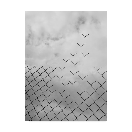 Daniel Alonso 'Cage Freedom' Canvas Art,14x19